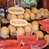Melons — Bulk & Wholesale Supply