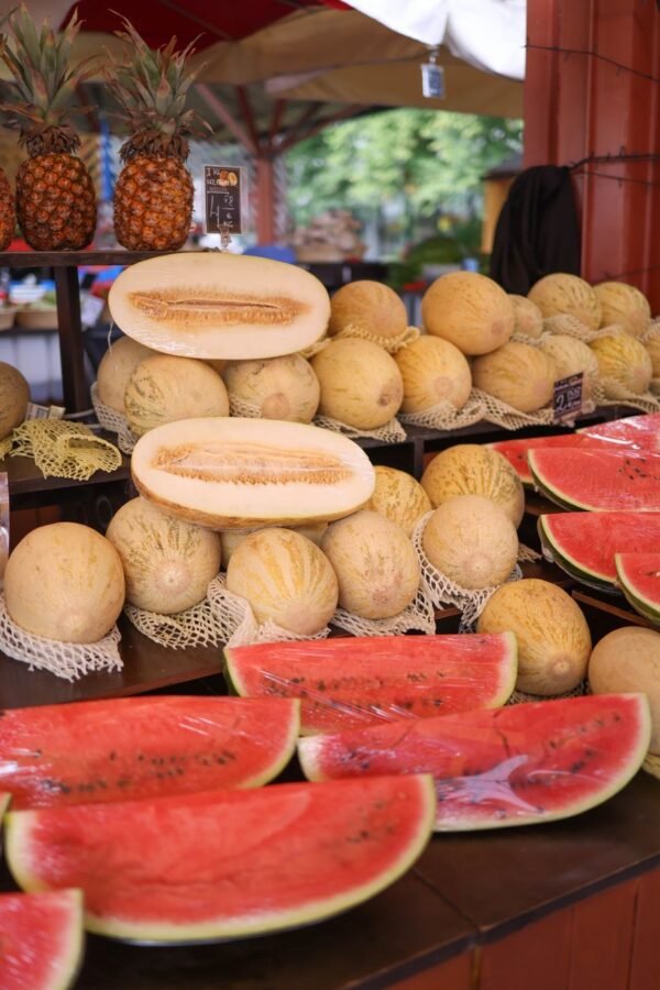 Melons — Bulk & Wholesale Supply