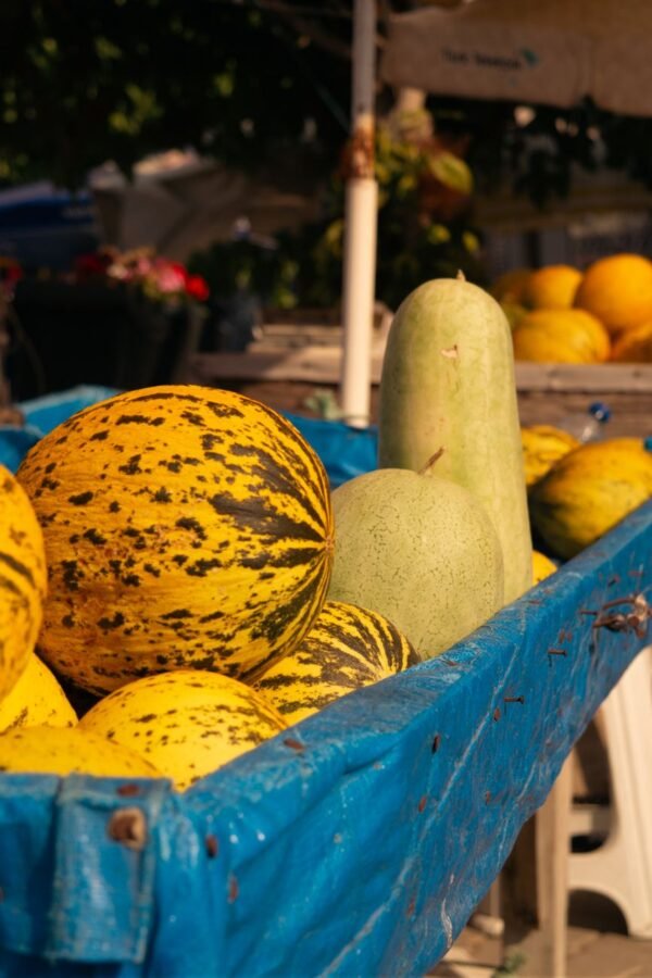 Yellow Melon UAE – Buy Fresh Sweet Melons Online - wholesale supplier | AgroFoods Global