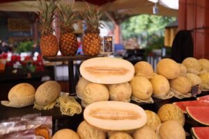 Watermelon Import Seedless UAE – Fresh Premium Melons Dubai - wholesale supplier | AgroFoods Global