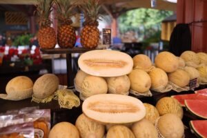Sweet Round Melon UAE – Fresh Sweet Melons Online Dubai & Wholesale Supplier - wholesale supplier | AgroFoods Global