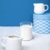 M28 Milky Creamer - wholesale supplier | AgroFoods Global