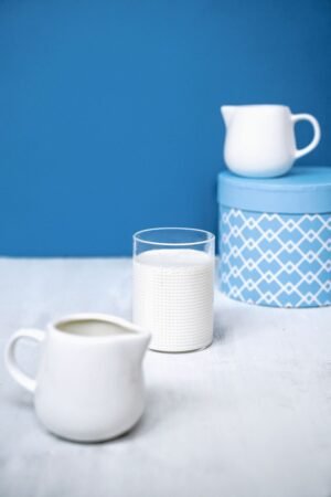 M28 Milky Creamer - wholesale supplier | AgroFoods Global