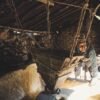 50T 24H Maize Flour Mill With - wholesale supplier | AgroFoods Global