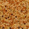 Peacock Kodo Millet 500g – Wholesale & Export UAE - wholesale supplier | AgroFoods Global