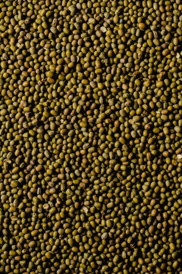 Peeled Mung Beans