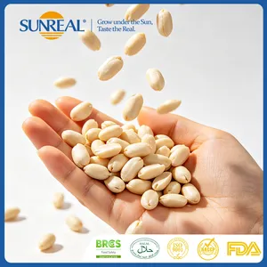 Wholesale peanut for bulk supply and export