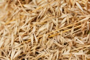 Bob's Red Mill Gluten Free Steel Cut Oats Whole Grain Non-GMO 680g – Wholesale & Export UAE - wholesale supplier | AgroFoods Global