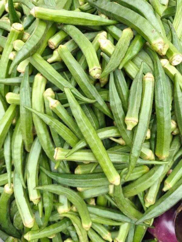 Okra Premium - wholesale supplier | AgroFoods Global