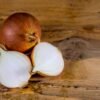 Organic White Onion - wholesale supplier | AgroFoods Global