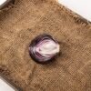 Original Bagel Onion, 680g – Wholesale & Export UAE - wholesale supplier | AgroFoods Global