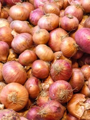 Frozen Onions Sliced Chopped Vegetable HACCP - wholesale supplier | AgroFoods Global