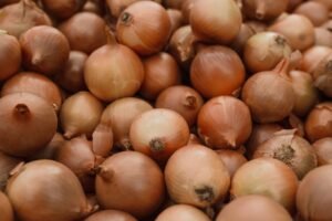 White Onions 1.5Kg UAE – Fresh Mild Onions Dubai Online - wholesale supplier | AgroFoods Global
