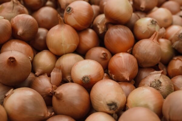 White Onions 1.5Kg UAE – Fresh Mild Onions Dubai Online - wholesale supplier | AgroFoods Global
