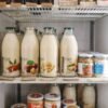 2 Ton/H Dairy Processing Machinery - wholesale supplier | AgroFoods Global