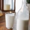 1 Ton/H Dairy Processing Machinery - wholesale supplier | AgroFoods Global