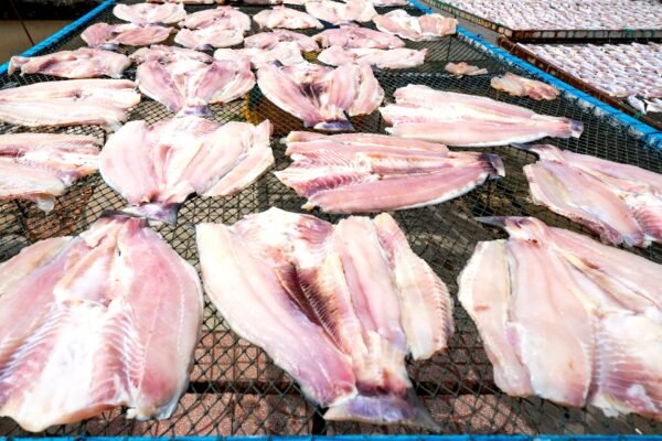 Pangasius — Bulk & Wholesale Supply Frozen Pangasius Fillet High Quality and - wholesale supplier | AgroFoods Global