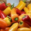 Meet EU Standard Sweet Paprika Powder - wholesale supplier | AgroFoods Global