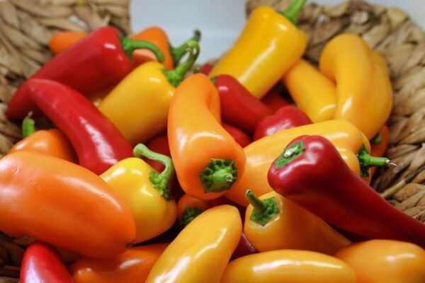 Meet EU Standard Sweet Paprika Powder - wholesale supplier | AgroFoods Global