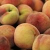 Peach - wholesale supplier | AgroFoods Global