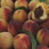 China Wholesale Canned Yellow Peaches in light Syrup with Factory Price - wholesale supplier | AgroFoods Global
