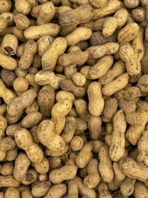 m&m's Chocolate Peanut, Pack of 36, 45g – Wholesale & Export UAE - wholesale supplier | AgroFoods Global