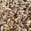 Bulk Export Indian Peanut Butter Premium - wholesale supplier | AgroFoods Global