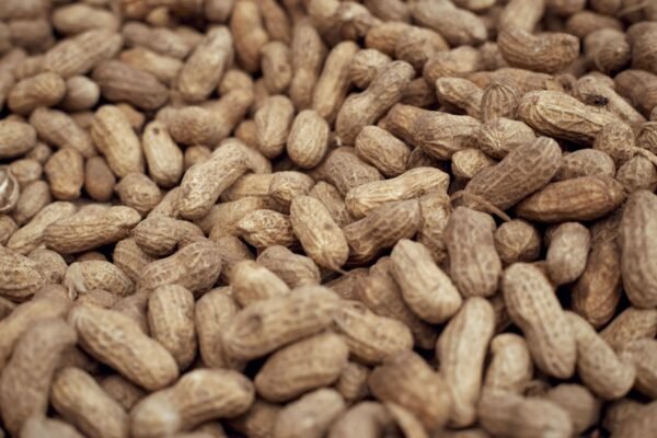 Crunnch Peanut Chikki 150g – Wholesale & Export UAE - wholesale supplier | AgroFoods Global