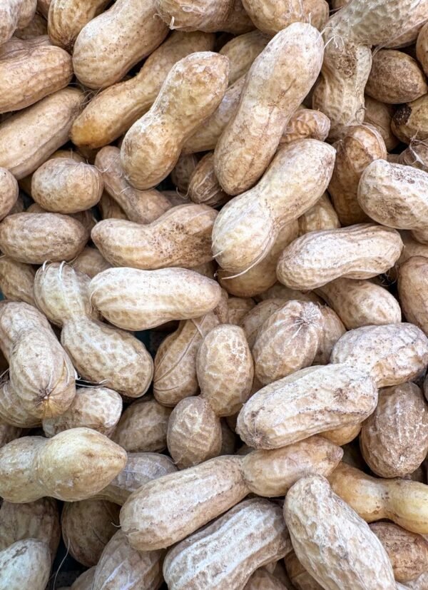 Peanuts — Bulk & Wholesale Supply Best Playful Peanuts, 13g – Wholesale & Export UAE - wholesale supplier | AgroFoods Global