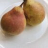 Pears — Bulk & Wholesale Supply Conference Pear UAE – Premium European Pears Wholesale & Retail Supply - wholesale supplier | AgroFoods Global