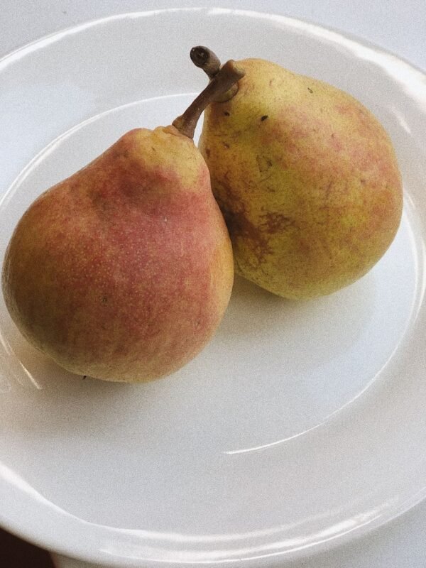 Pears — Bulk & Wholesale Supply Conference Pear UAE – Premium European Pears Wholesale & Retail Supply - wholesale supplier | AgroFoods Global