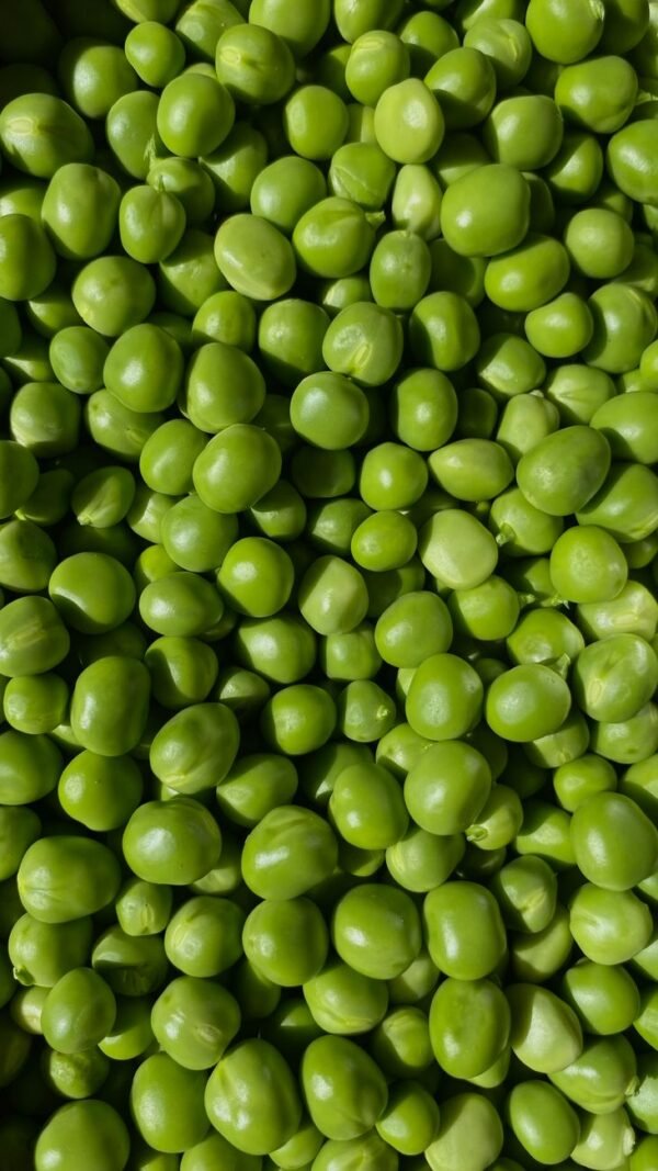 Wholesale Canned Green Peas 400 800g - wholesale supplier | AgroFoods Global