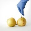 Food Grade Fruit Pectinase Enzyme for - wholesale supplier | AgroFoods Global