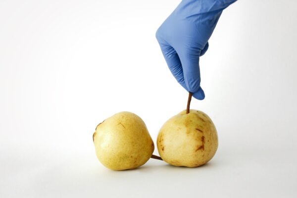 Food Grade Fruit Pectinase Enzyme for - wholesale supplier | AgroFoods Global