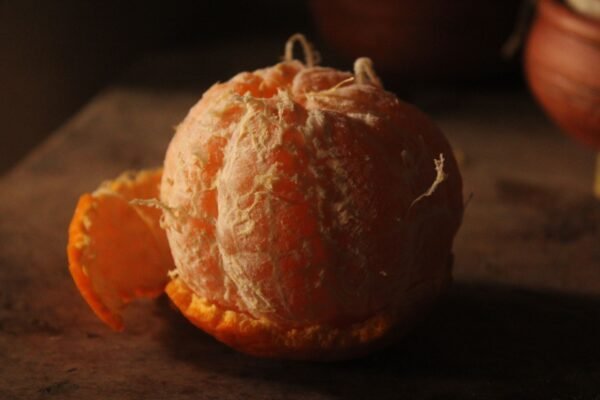 Garlic Peeled - wholesale supplier | AgroFoods Global