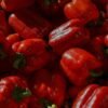Green Capsicum UAE – Fresh Green Bell Peppers Wholesale & Supplier Dubai - wholesale supplier | AgroFoods Global