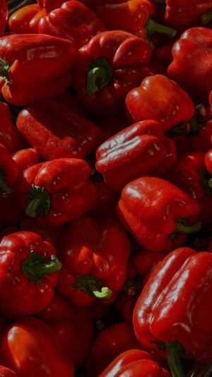 Green Capsicum UAE – Fresh Green Bell Peppers Wholesale & Supplier Dubai - wholesale supplier | AgroFoods Global