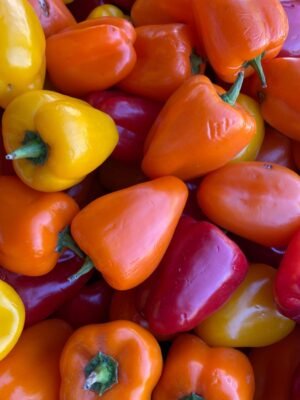 Chili Green Sweet Long UAE – Fresh Sweet Mild Peppers Wholesale & Supplier Dubai - wholesale supplier | AgroFoods Global