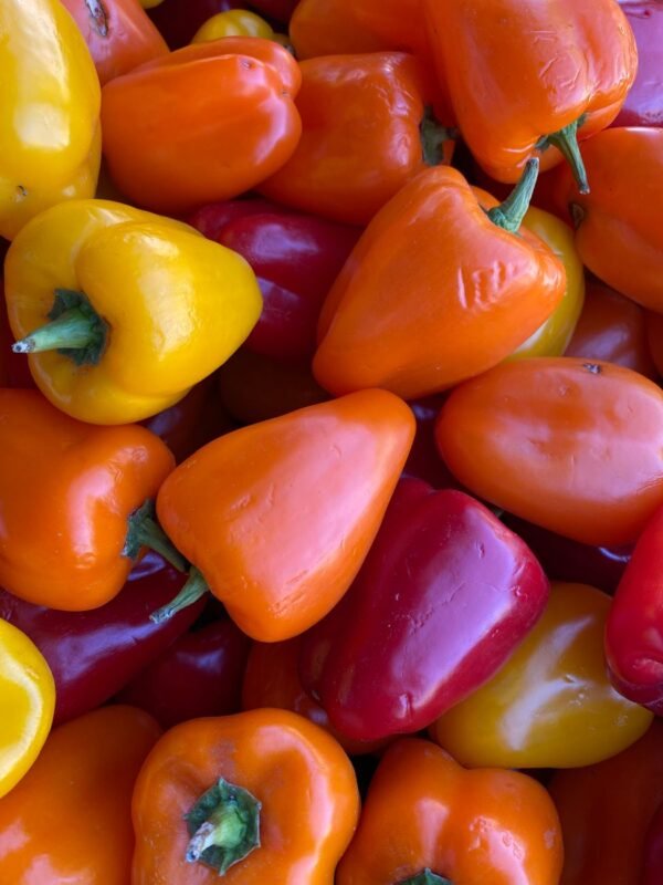 Peppers — Bulk & Wholesale Supply Chili Green Sweet Long UAE – Fresh Sweet Mild Peppers Wholesale & Supplier Dubai - wholesale supplier | AgroFoods Global