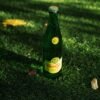 Perrier Sparkling Natural Mineral Water PET Bottle, 750ml – Wholesale & Export UAE - wholesale supplier | AgroFoods Global