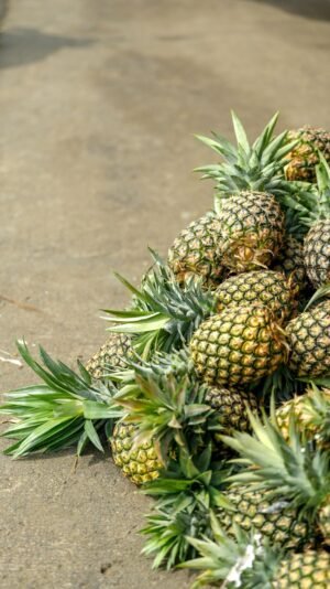 Gold Pineapple Whole Fruit UAE – Sweet Golden Pineapple Wholesale & Supplier Dubai - wholesale supplier | AgroFoods Global