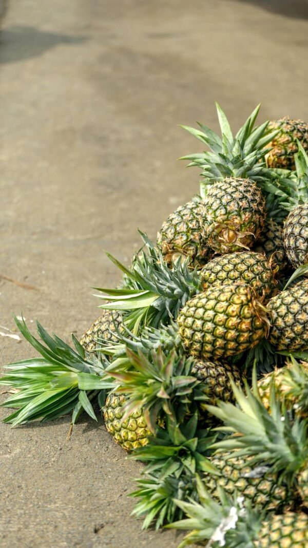Gold Pineapple Whole Fruit UAE – Sweet Golden Pineapple Wholesale & Supplier Dubai - wholesale supplier | AgroFoods Global