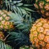 Pineapple - wholesale supplier | AgroFoods Global