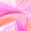Pink — Bulk & Wholesale Supply Pink Garlic Bag 3 Pieces UAE – Premium Pink Garlic Wholesale & Supplier Dubai - wholesale supplier | AgroFoods Global