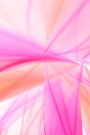 Pink Garlic Bag 3 Pieces UAE – Premium Pink Garlic Wholesale & Supplier Dubai - wholesale supplier | AgroFoods Global