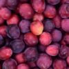 Black Plum 500grm - wholesale supplier | AgroFoods Global