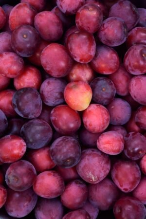 Black Plum 500grm - wholesale supplier | AgroFoods Global