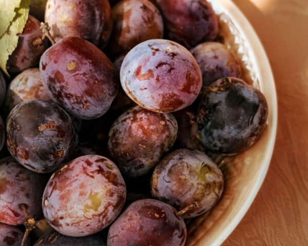 Plums Angelino Chile 500g - wholesale supplier | AgroFoods Global