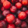 Red Premium Plum UAE – Fresh Red Plums 500g Wholesale & Supplier Dubai - wholesale supplier | AgroFoods Global