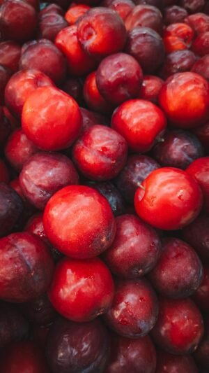 Red Premium Plum UAE – Fresh Red Plums 500g Wholesale & Supplier Dubai - wholesale supplier | AgroFoods Global